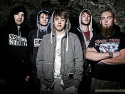 Violent virtues