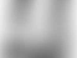 Inbred patent trolls2 1251803642