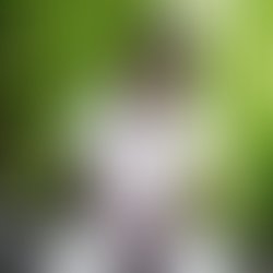 Img 20200617 201812 915