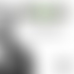 1455268039 10153230239525741 1163345323 n