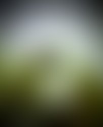 Lumii 20210727 053711177 3