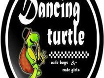 Dancing Turtle