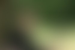 1395466862 peter061705 028