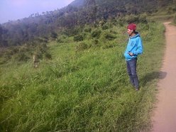 Ir Ocol Jr