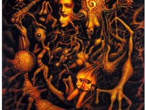The Cosmic Witch Hunters