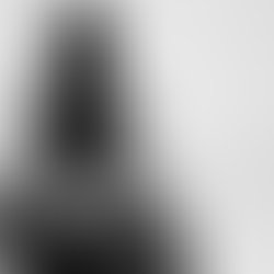 Artist 520699 1484600643