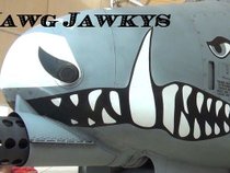 the Hawg Jawkys