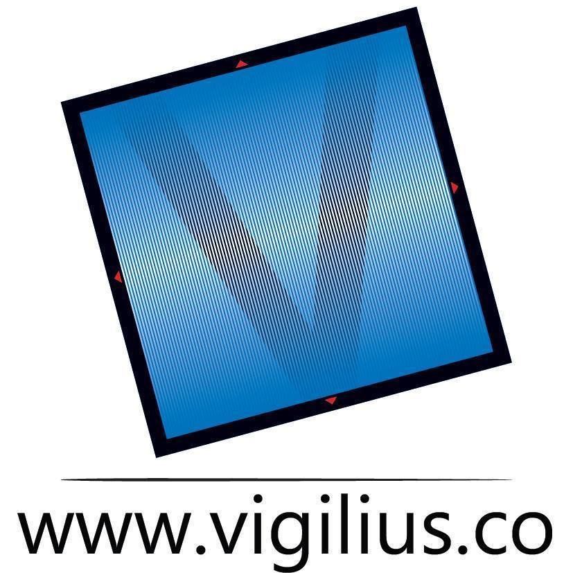 ReverbNation profile picture for @vigil