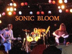 Image for Sonic Bloom