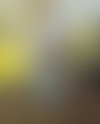 1456991124 screenshot 2016 03 03 01 40 02 1