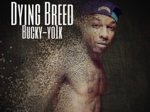 BUCKY-YO1k