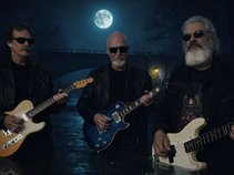 Salty Lizard Sanctuary