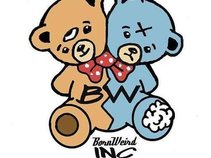 WEIRDMINDZ CAMP