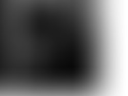 1454886374 beefbone w title700x700