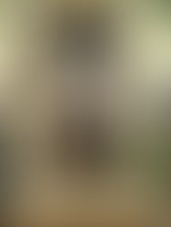 1454945397 road 2 fame