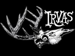 Irvas