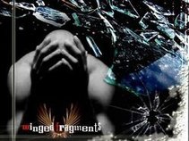 Winged Fragments