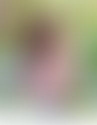 45368 autographflyers 03