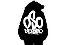 oso negro