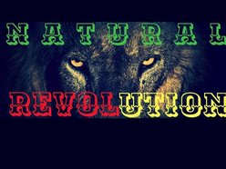 Image for Natural Revolution