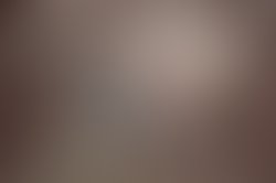 Foxes rosati small 1252358059