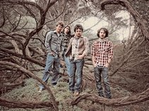 The Stone Foxes