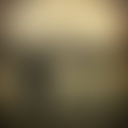 1337771312 paulwilliamray201201