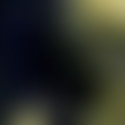13827454 318399078501693 374259338 n