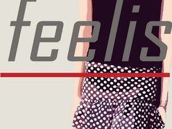 feelis