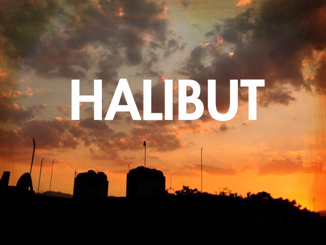 ReverbNation profile picture for @halibut