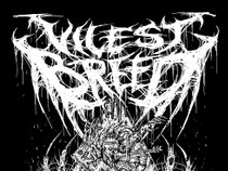 Vilest Breed