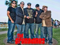 The Grenadines Band