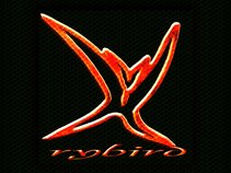 Rybird