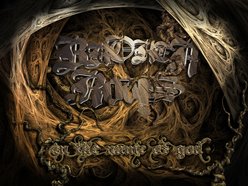 Image for Broken Roots