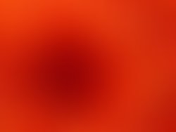 1457964564 chrysanthemum