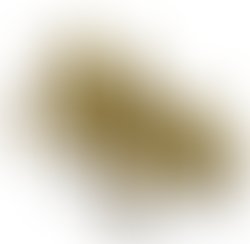 Logo trees 1297810438