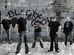 Image for Black Leaf Clover