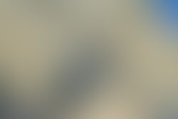 Dsc 0030