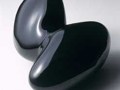 Image for Biomorfix