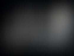 Artist 530341 1562606116