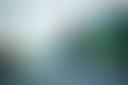 Look left rock right