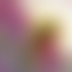 1460318399 artist 5309310 1460318392