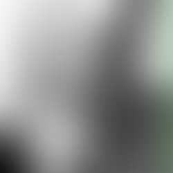 1460394877 artist 5310564 1460394862