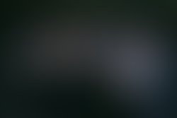 Lost honours promotional 12