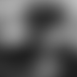 1461260550 219823165037232 1117830237 a