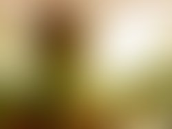 0dc6c216 05c4 47f7 ac97 4b8305cb43cf 4355 0000049dc1b14c47