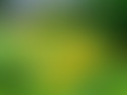 Img 20170628 152621 effects