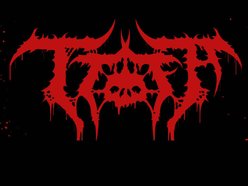 Image for Torn The Fuck Apart