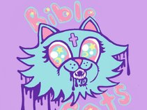 Bible Cats