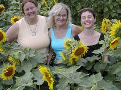 Image for The Solstice Sisters